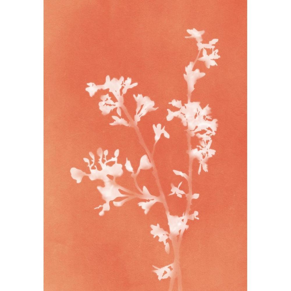 graham & brown Flower Press Orange Wall Art