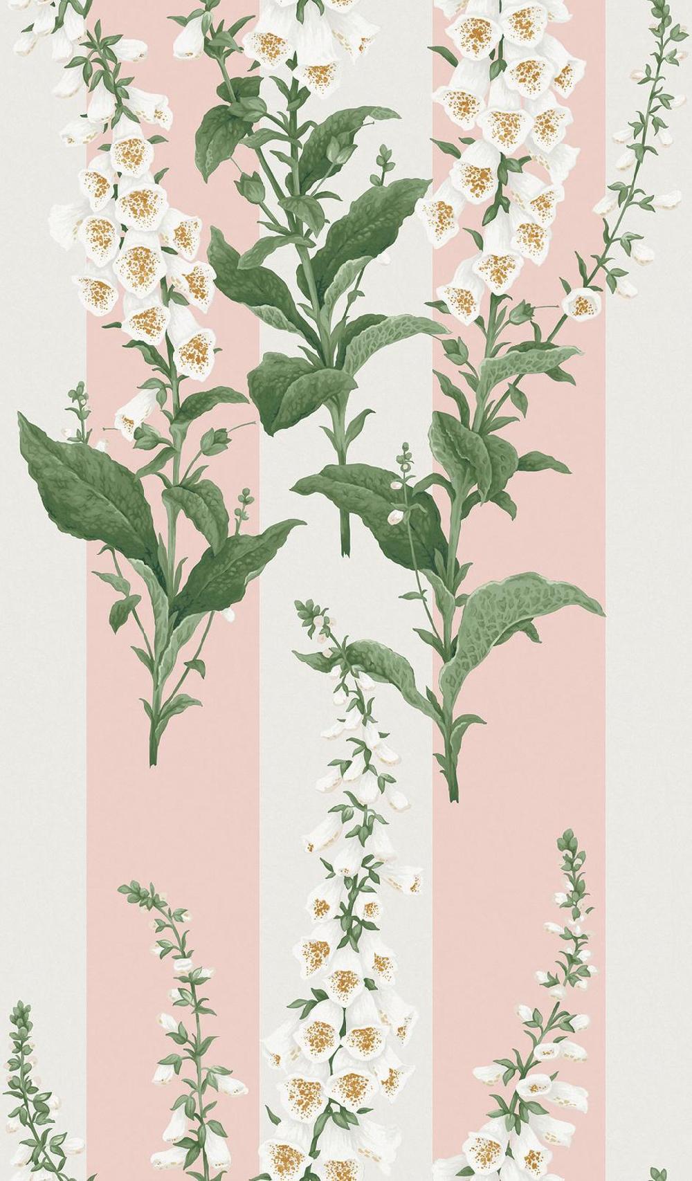 Graham & Brown Foxglove Stripe Blush Wallpaper