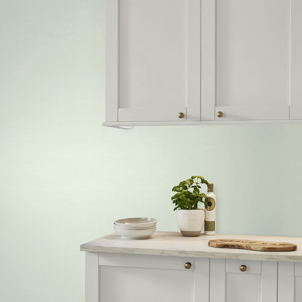 Graham & Brown Frosty Walk Paint