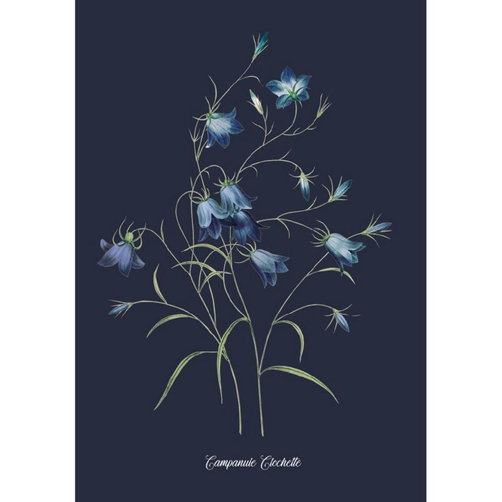 graham & brown Glasshouse Bluebell Blue Wall Art