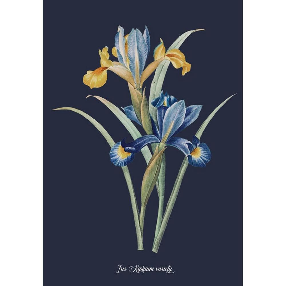 graham & brown Glasshouse Iris Blue Wall Art