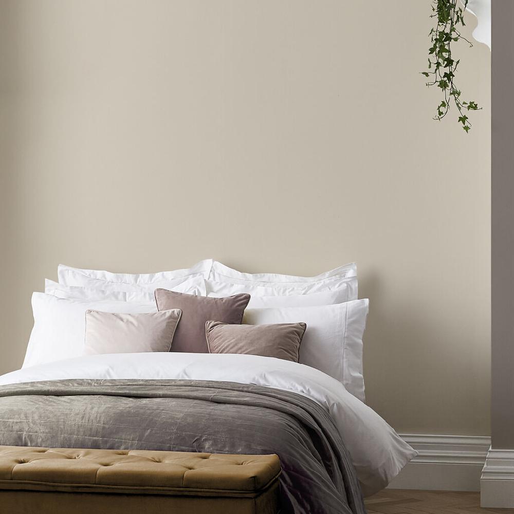 Graham & Brown Gobi Paint