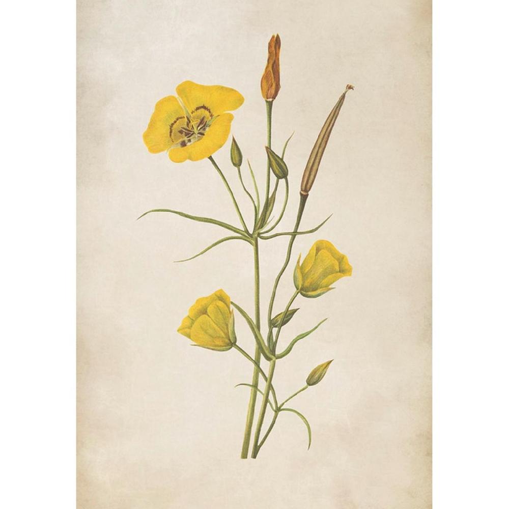 graham & brown Golden Wildflower Yellow Wall Art