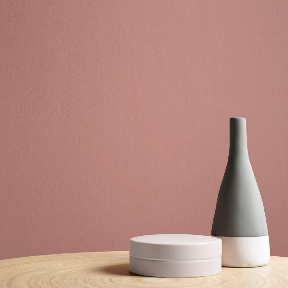 Graham & Brown Highland Rose Paint