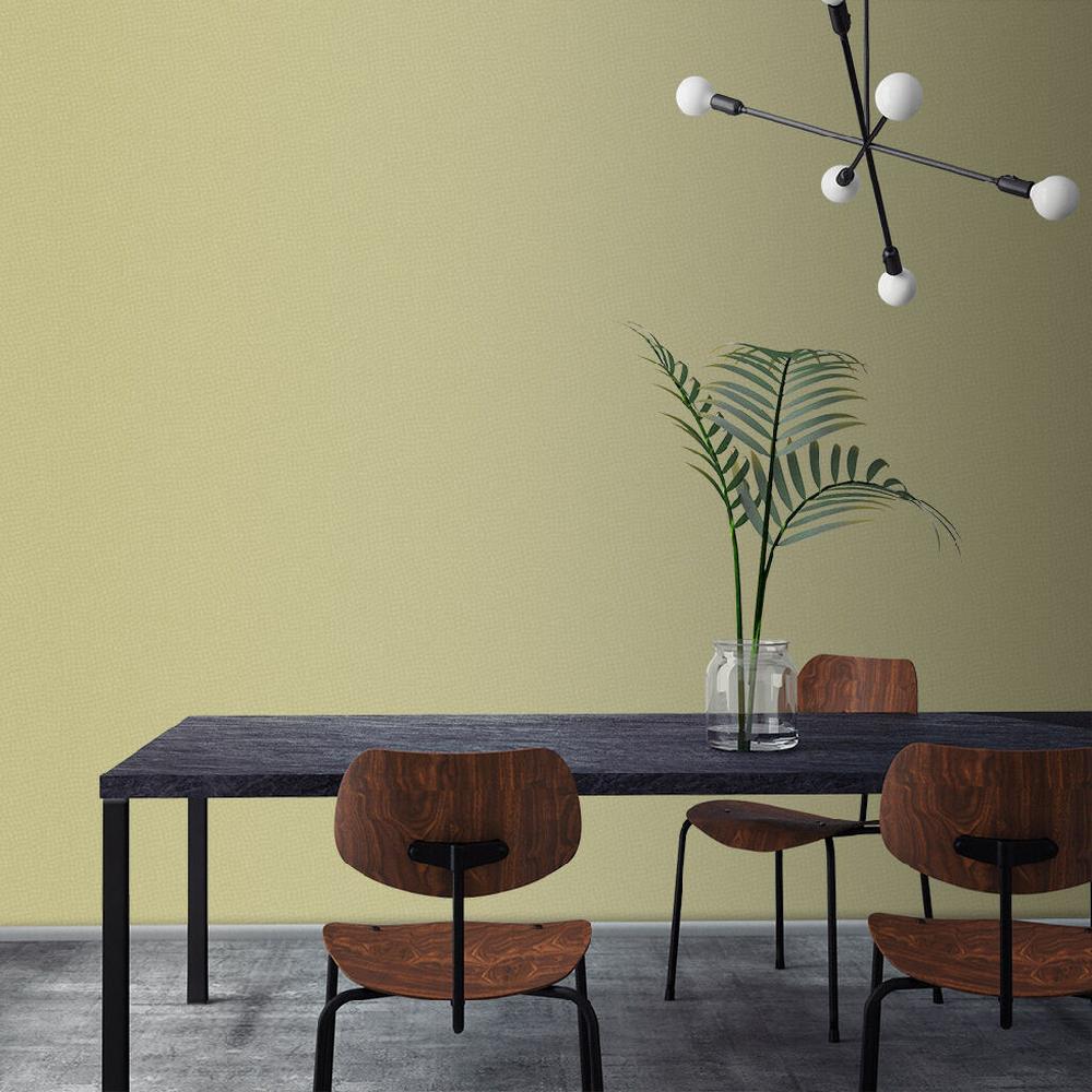 Graham & Brown Humid Paint