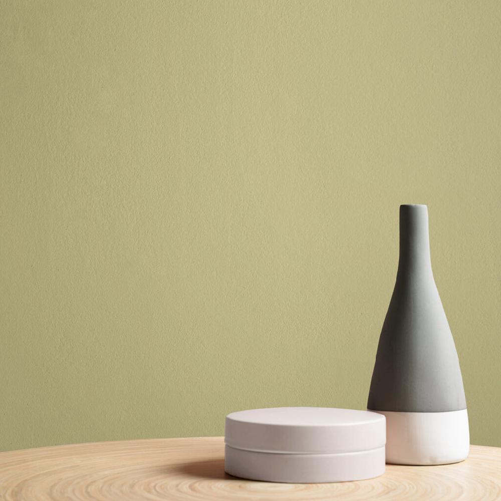 Graham & Brown Humid Paint