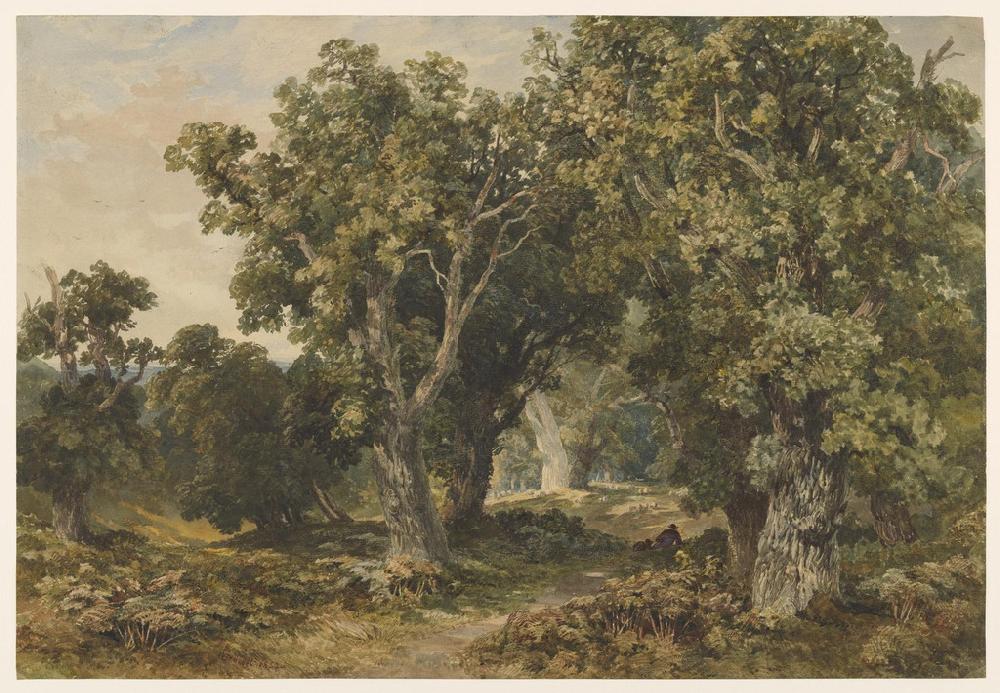 Graham & Brown In Richmond Park Bespoke Mural