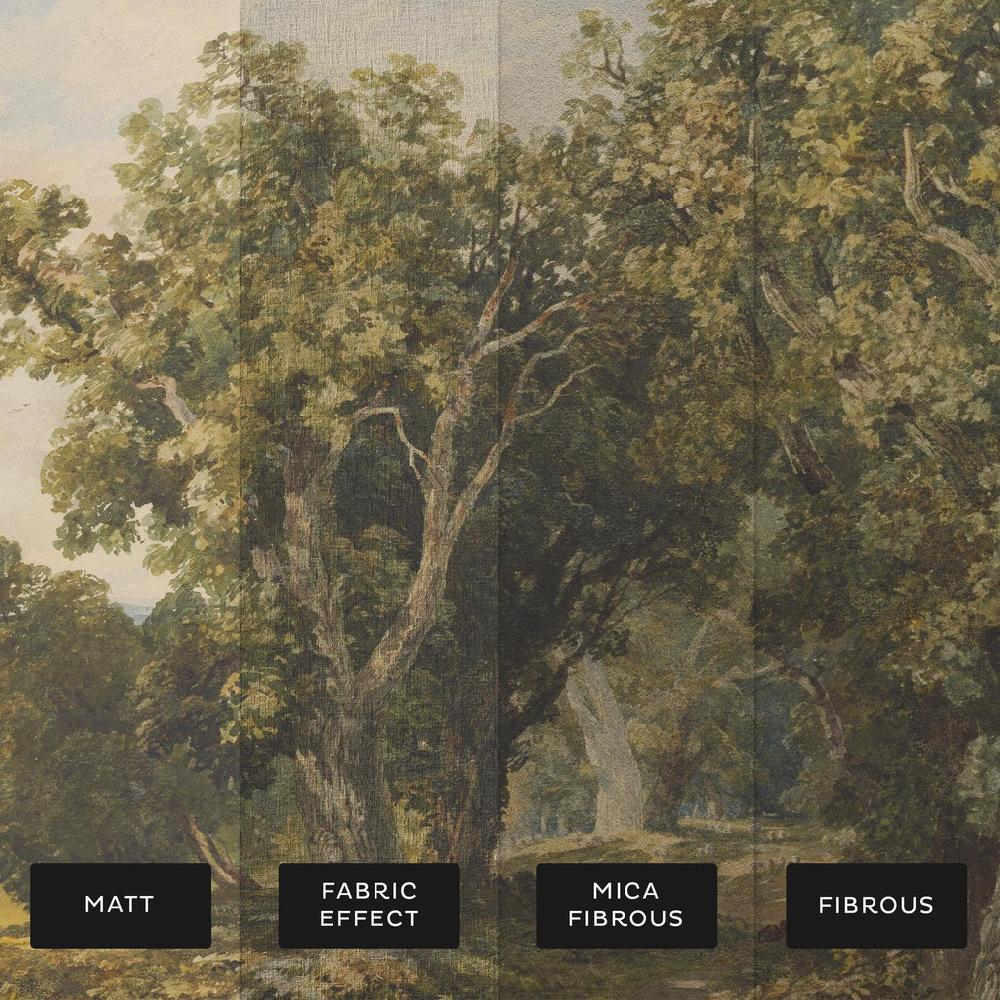 Graham & Brown In Richmond Park Bespoke Mural