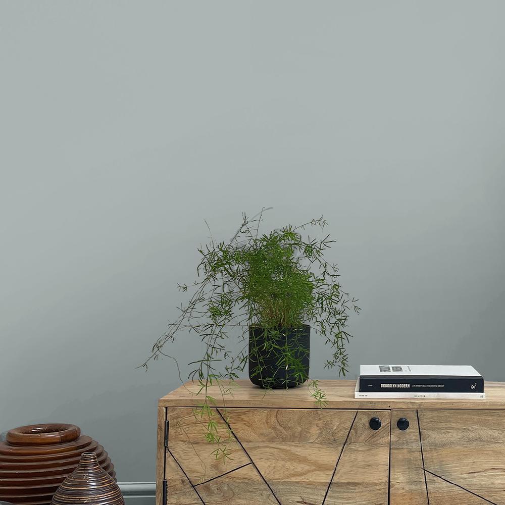 Graham & Brown Indian Ink Paint