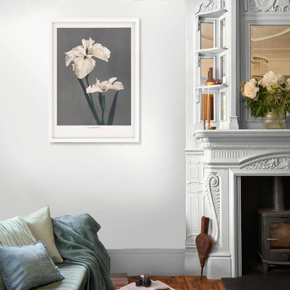 Graham & Brown Iris Kaempferi Mono Wall Art