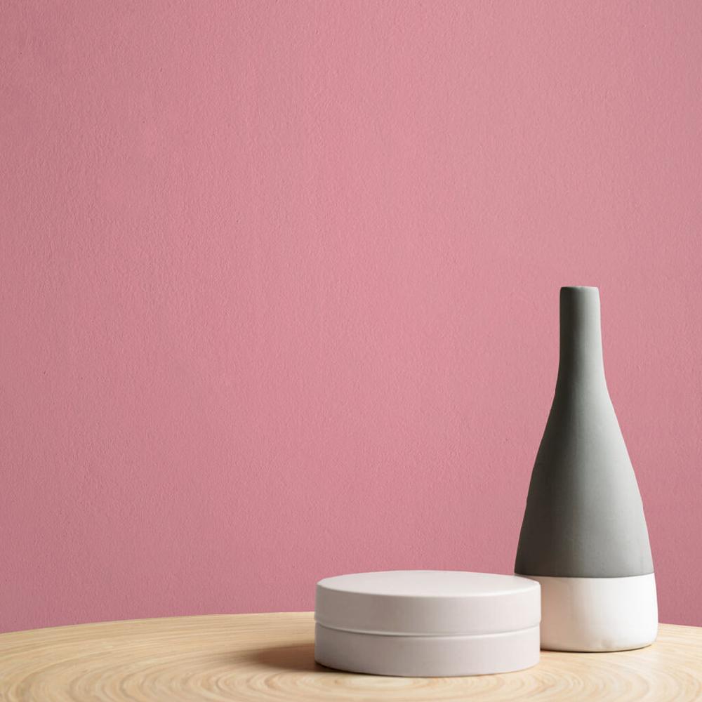 Graham & Brown Jenna Paint