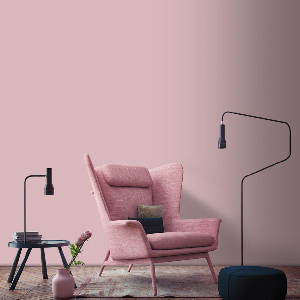 Graham & Brown Lady Like Paint