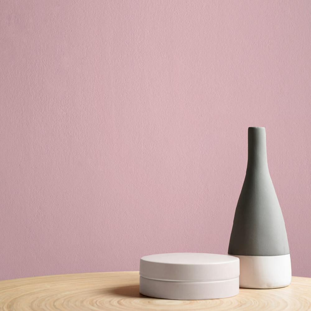 Graham & Brown Lady Like Paint