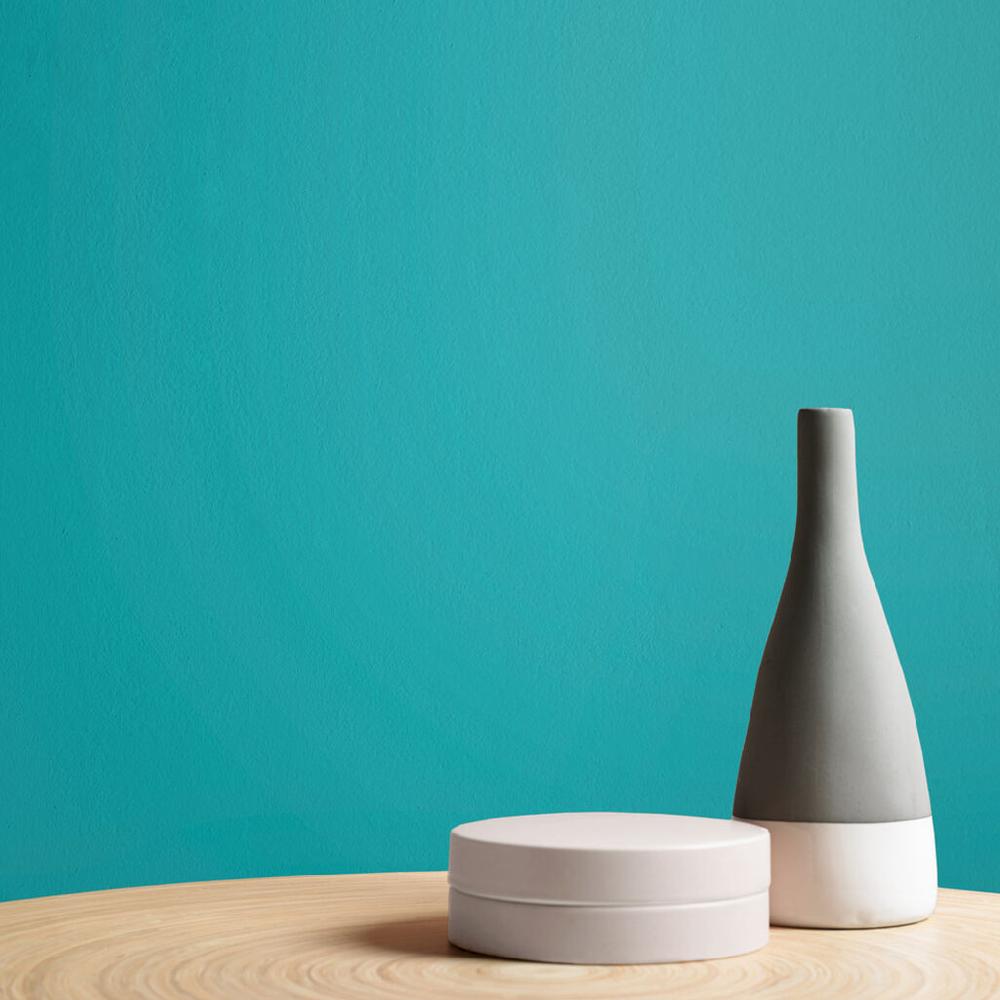 Graham & Brown Lifeguard Paint