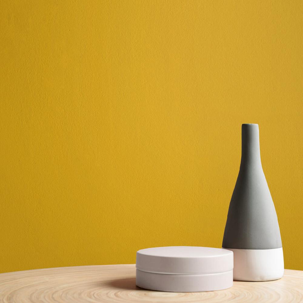 Graham & Brown Lioness Paint