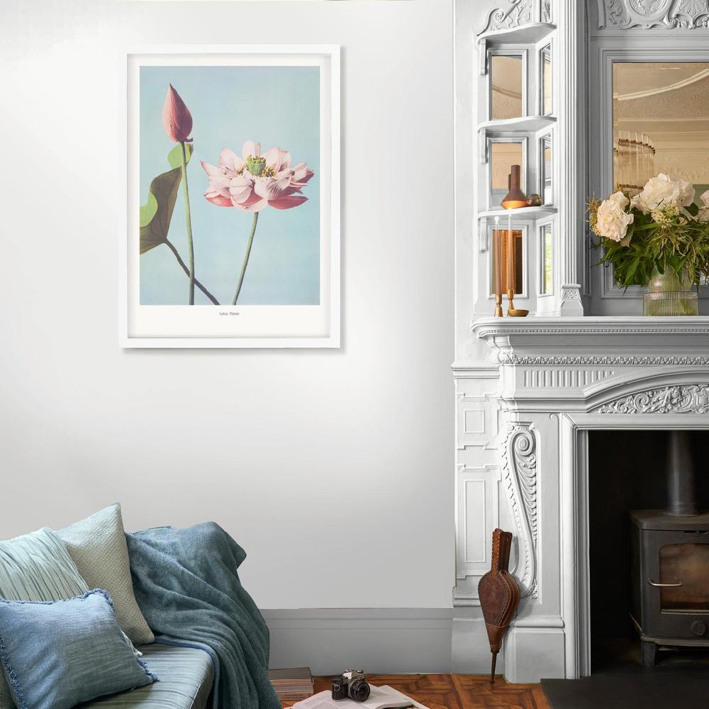 Graham & Brown Lotus Flower Blue Wall Art
