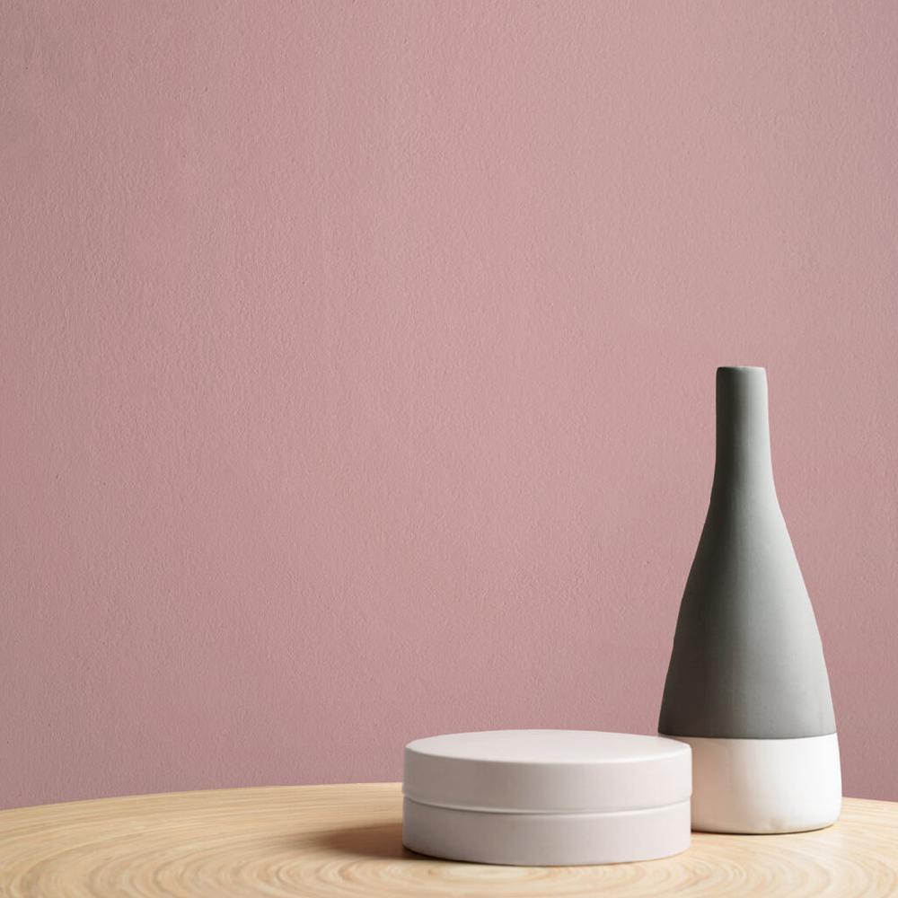 Graham & Brown Malva Paint