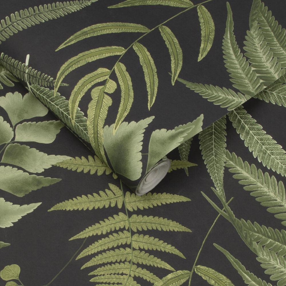 Graham & Brown Midsummer Fern Black Wallpaper