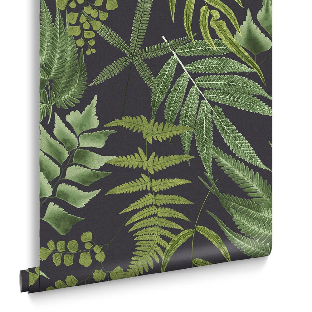 Graham & Brown Midsummer Fern Black Wallpaper