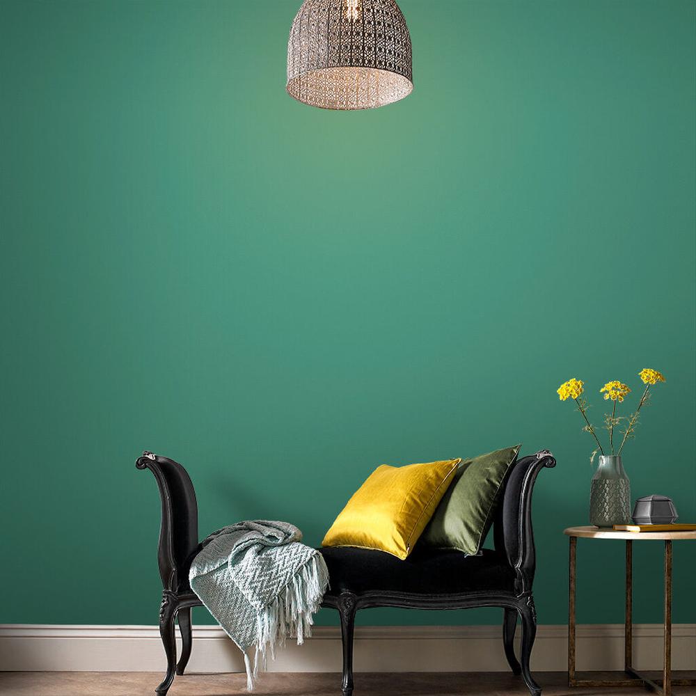 Graham & Brown Minami-za Paint