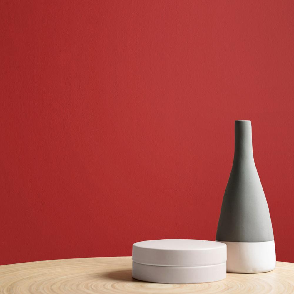 Graham & Brown Minnie Paint