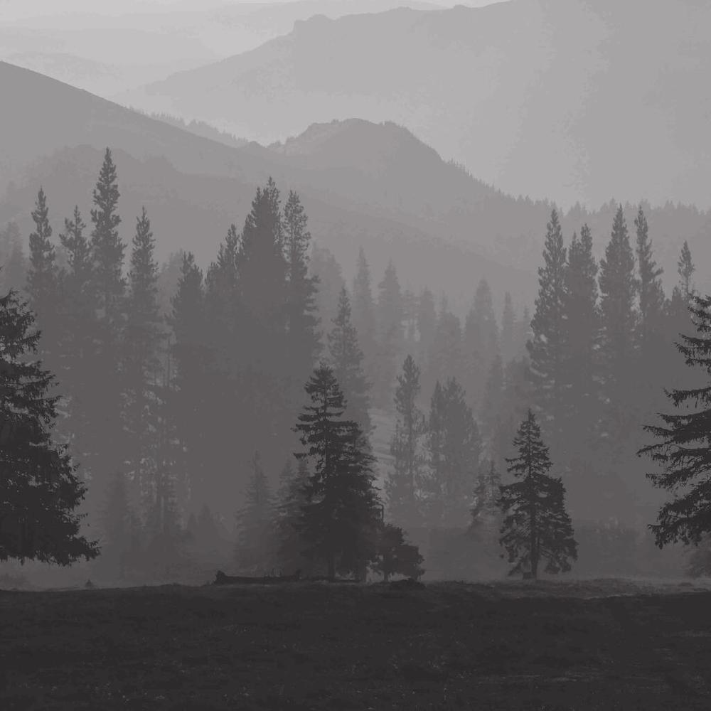 Graham & Brown Misty Mountains Bespoke Mural