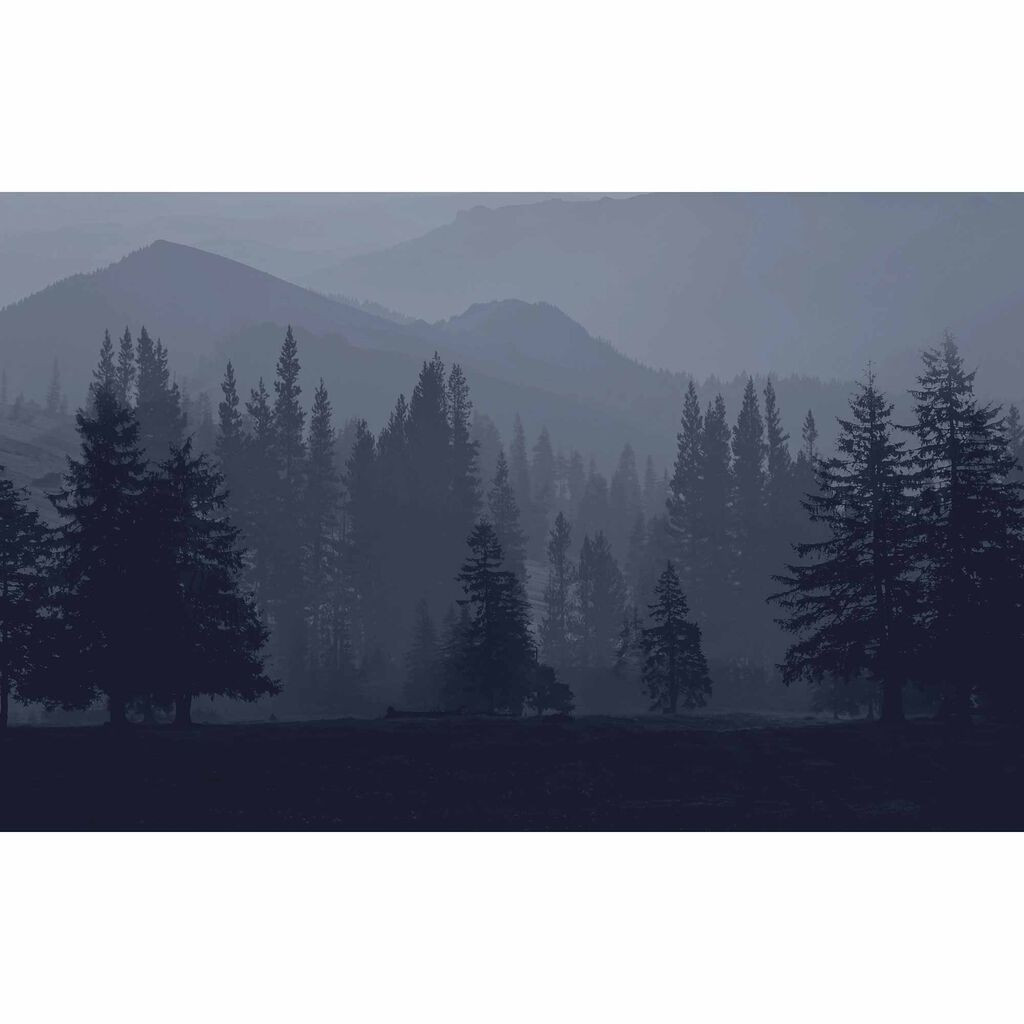 Graham & Brown Misty Mountains Ink Bespoke Mural