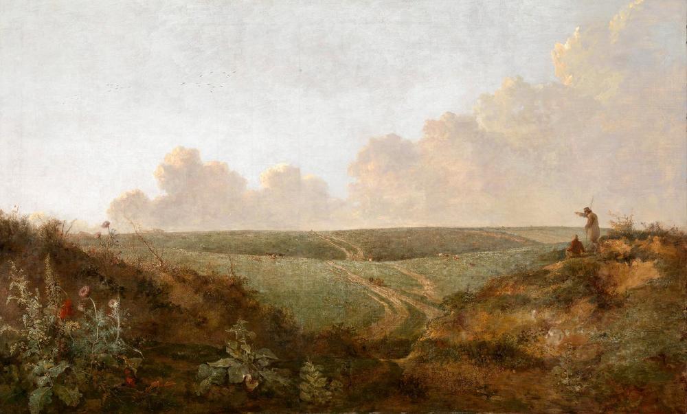 Graham & Brown Mousehold Heath Norwich Bespoke Mural