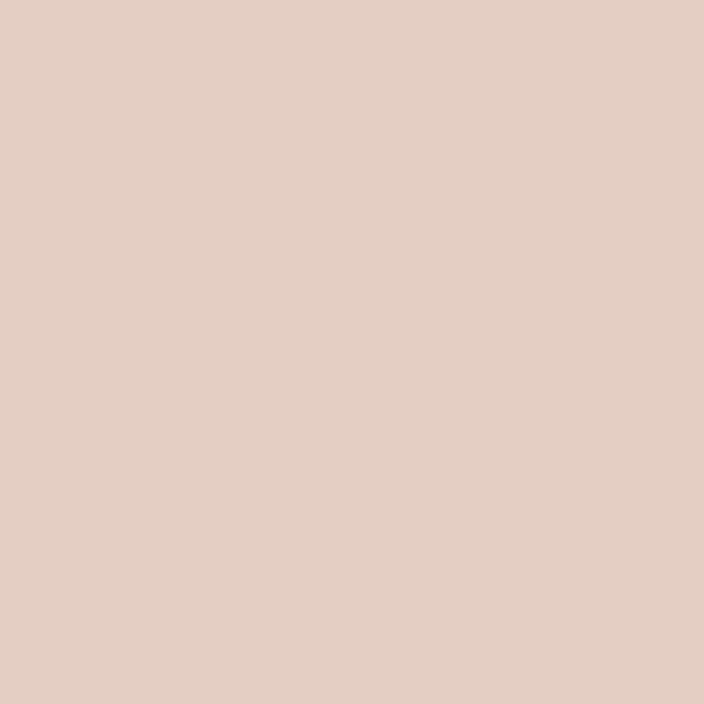 graham & brown Muted Blush Paint