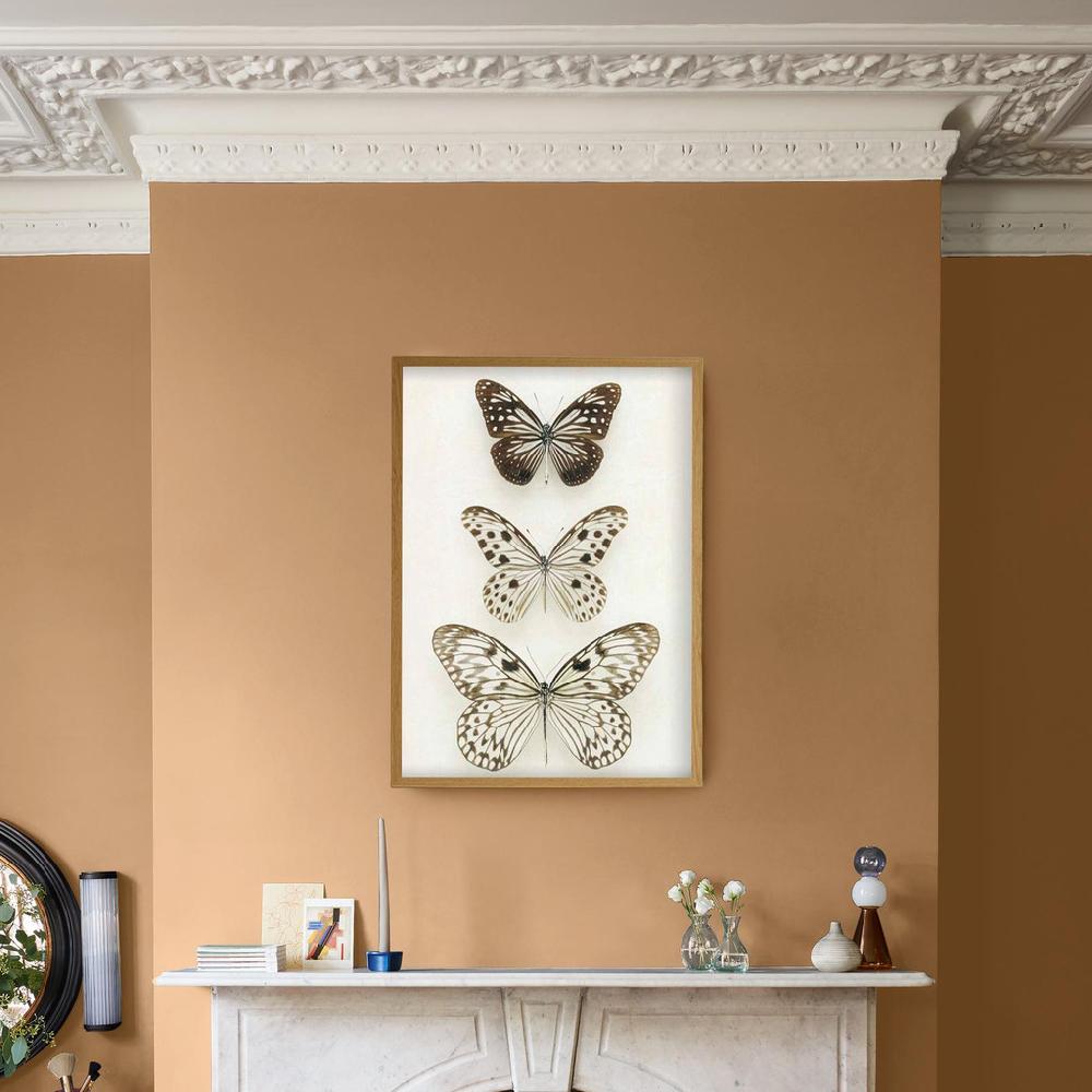 Graham & Brown Neutral Butterflies Neutral Wall Art