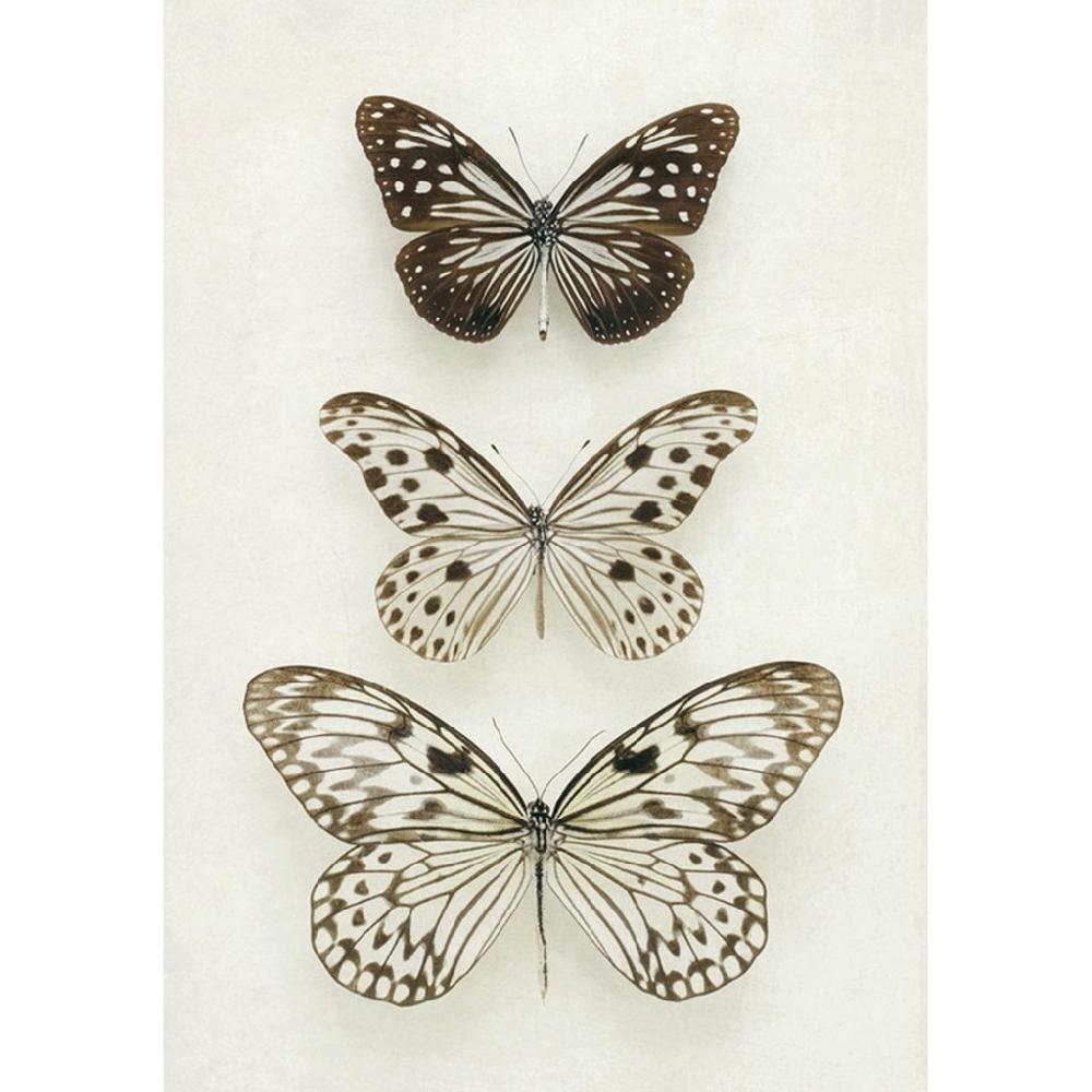 graham & brown Neutral Butterflies Neutral Wall Art
