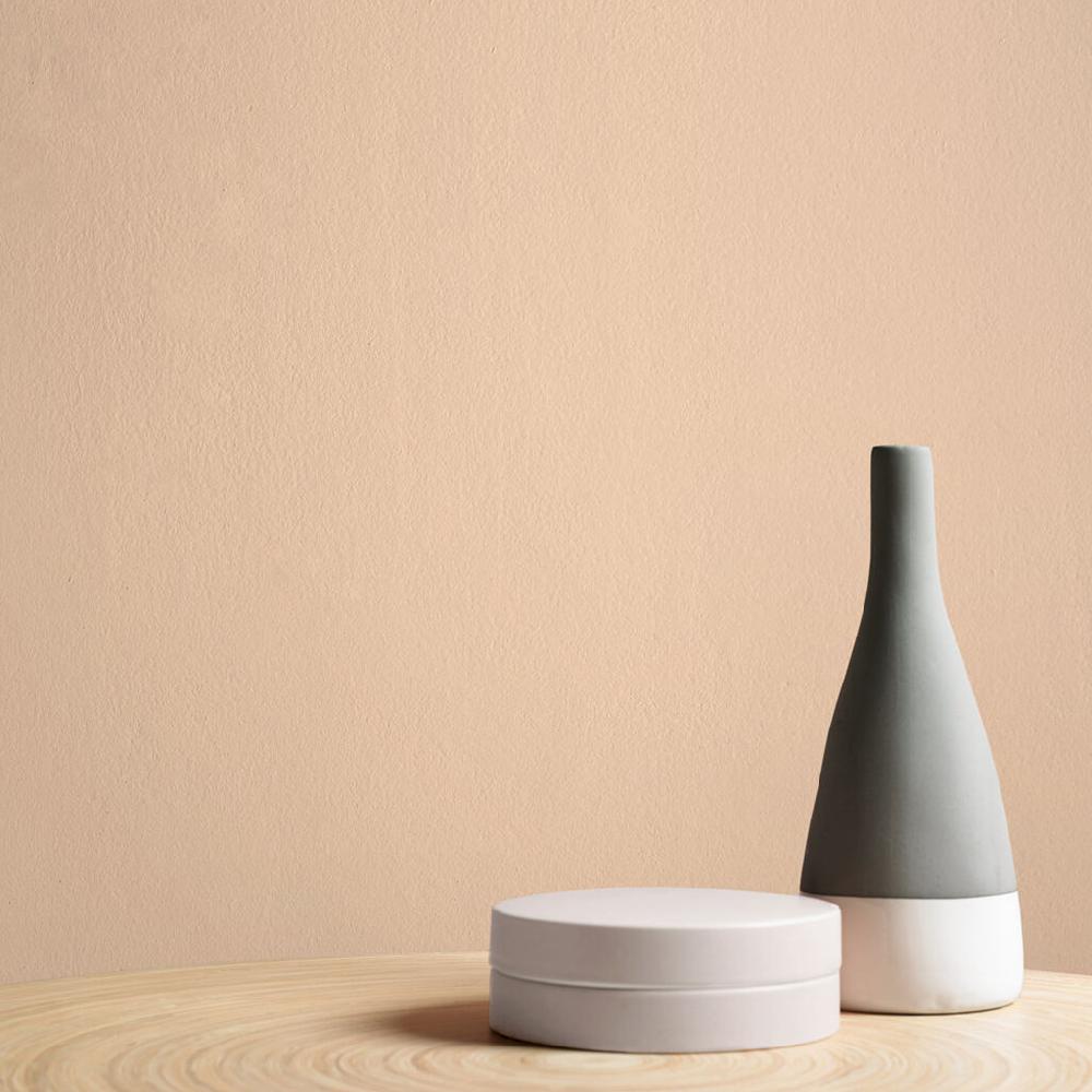 Graham & Brown Peach Pit Paint