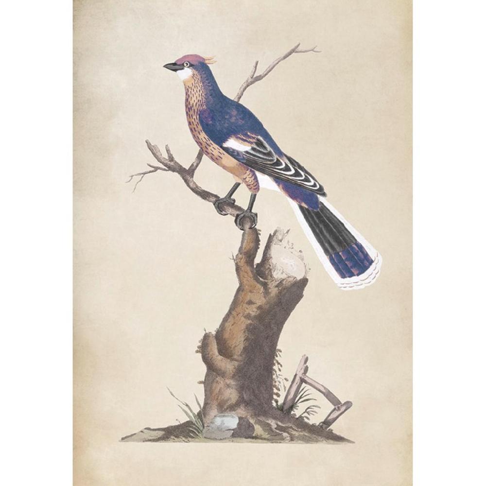 graham & brown Perched Serenity Blue Wall Art