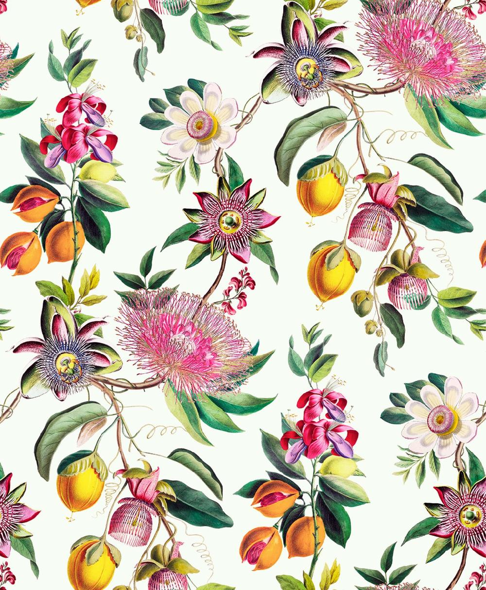 Graham & Brown Physic Garden Lush Wallpaper