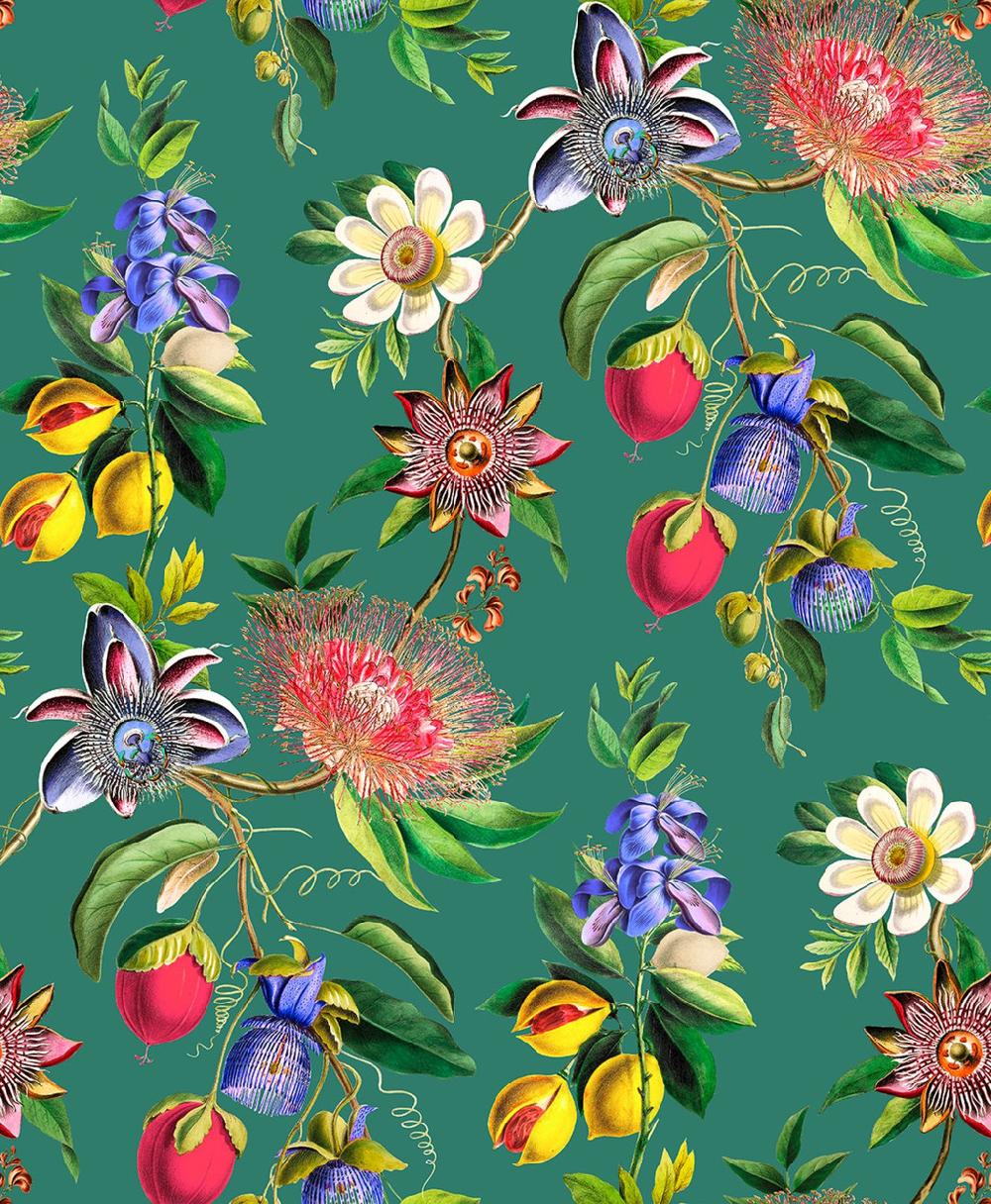 Graham & Brown Physic Garden Teal Wallpaper