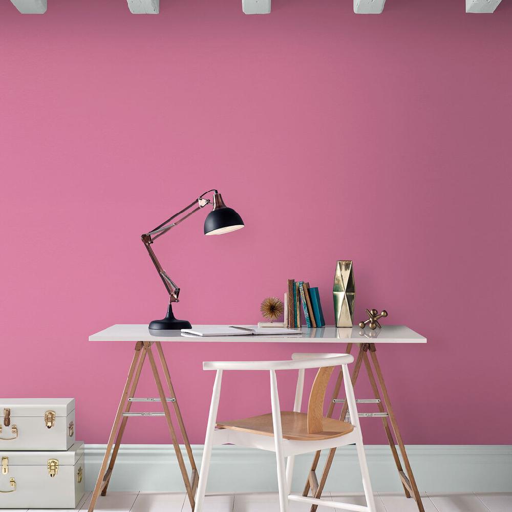 Graham & Brown Pink Robin Paint