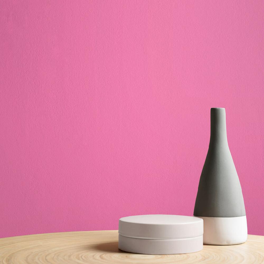 Graham & Brown Pink Robin Paint