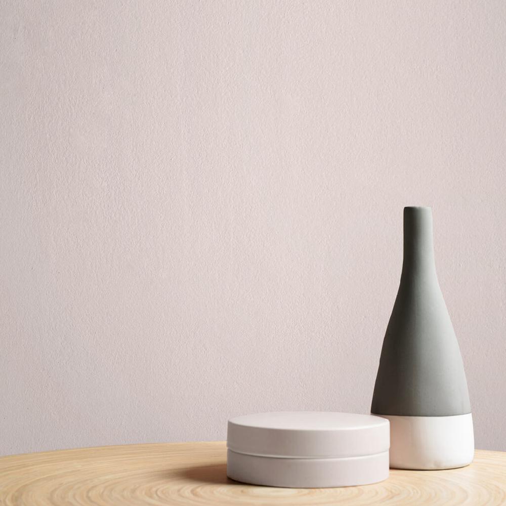 Graham & Brown Pink Sands Paint