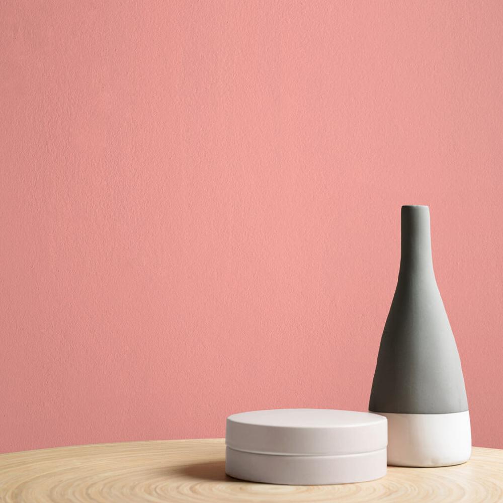 Graham & Brown Popsicle Paint