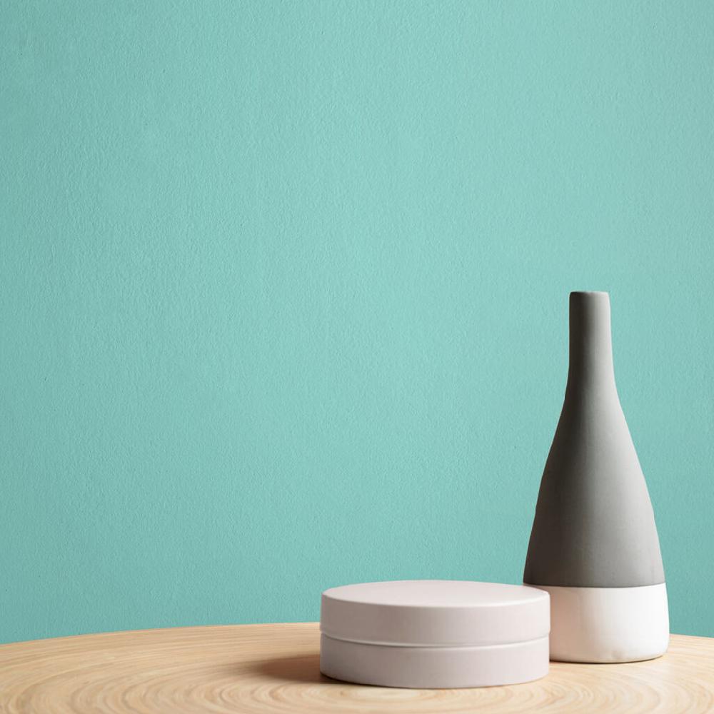 Graham & Brown Puri Paint