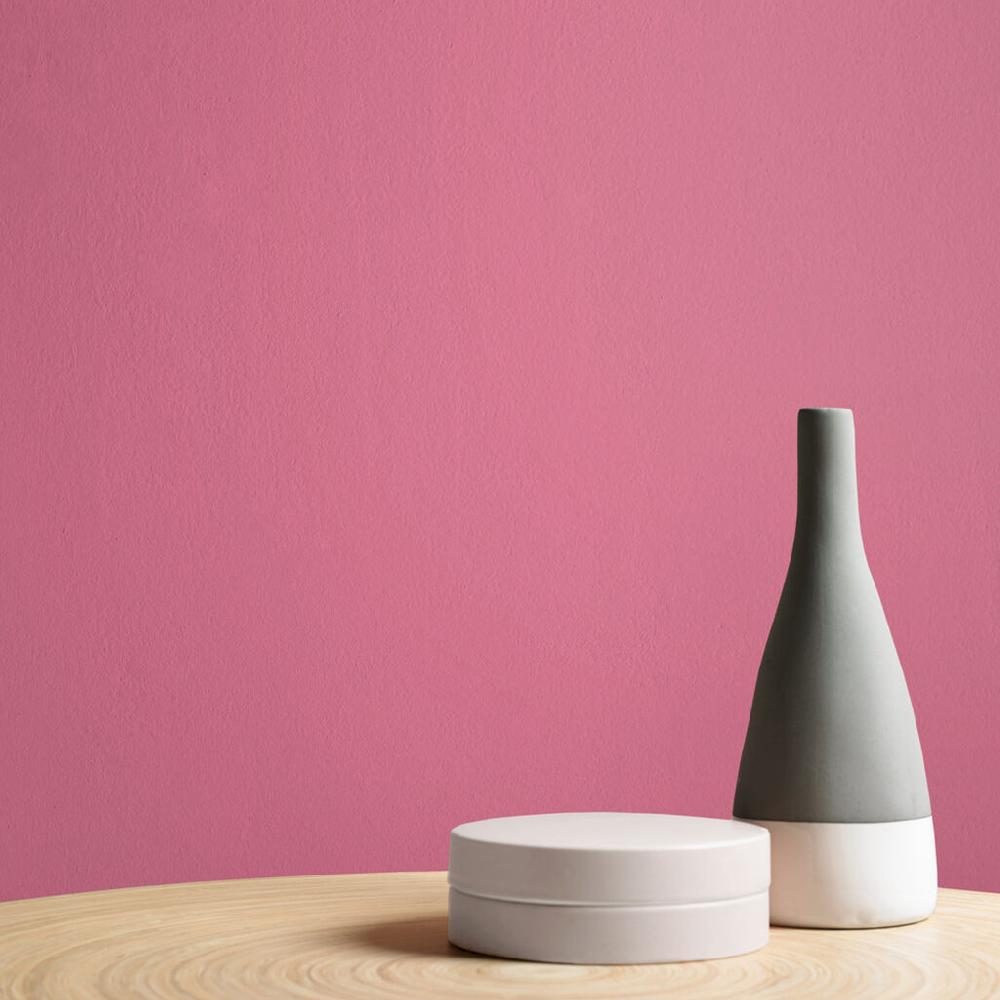 Graham & Brown Raspberry Ripple Paint