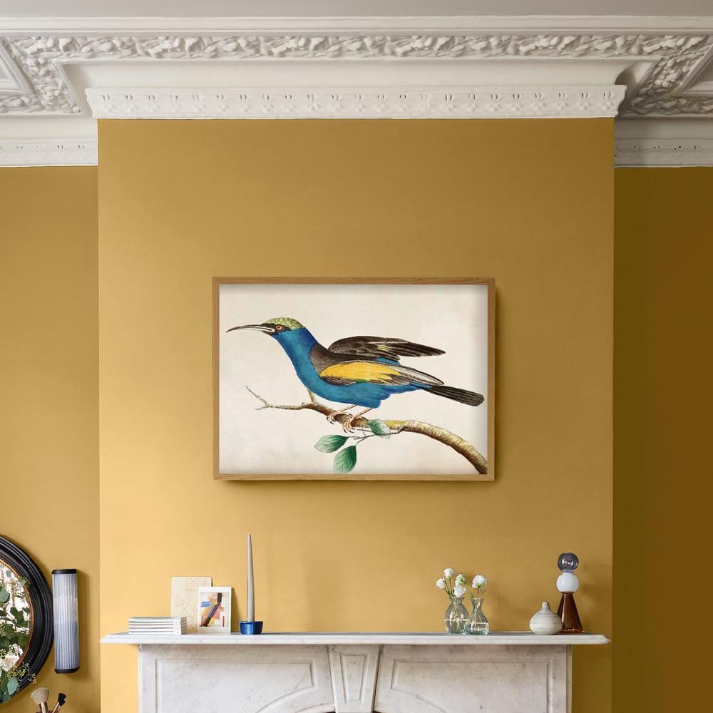 Graham & Brown Ready For Flight Blue Wall Art