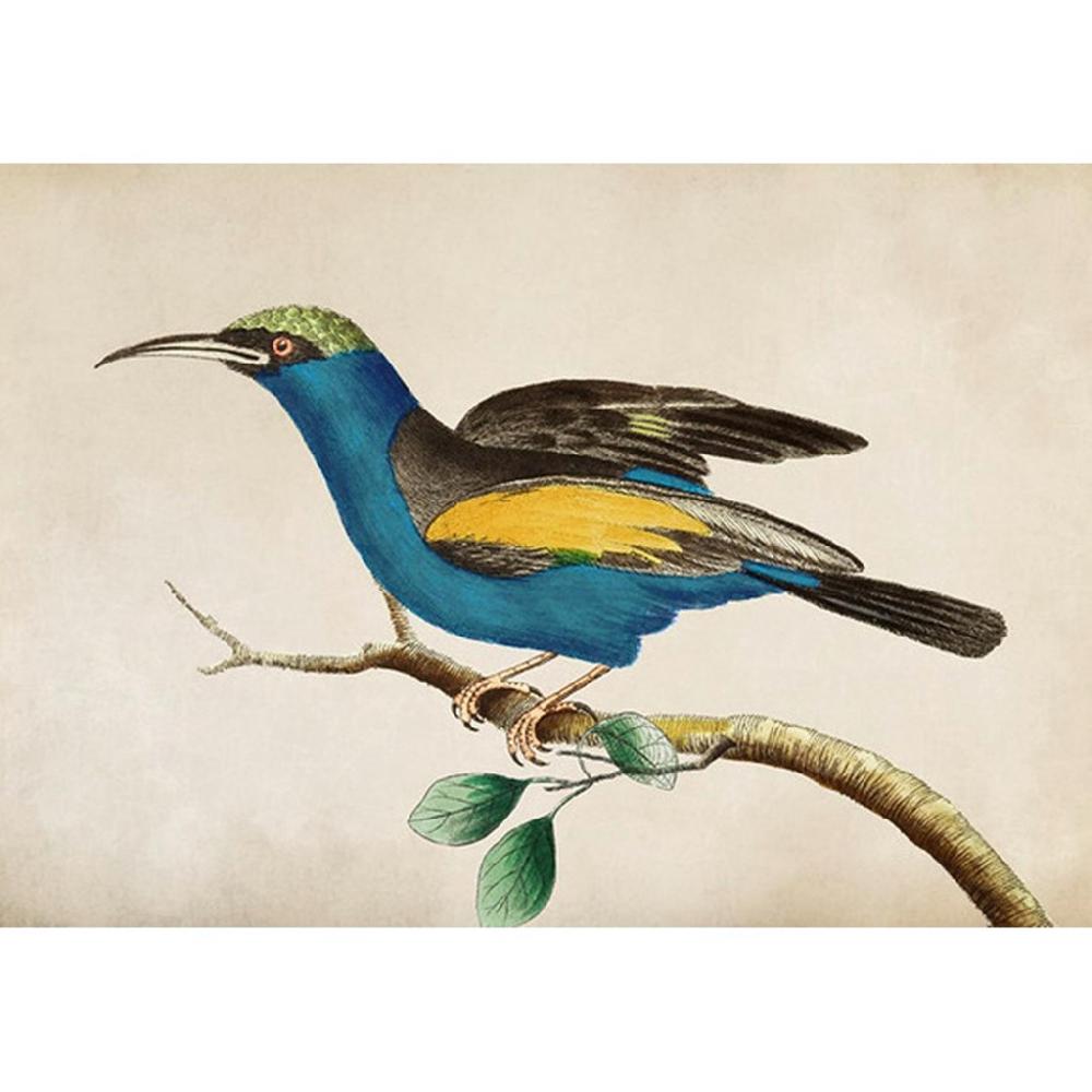 graham & brown Ready for Flight Blue Wall Art