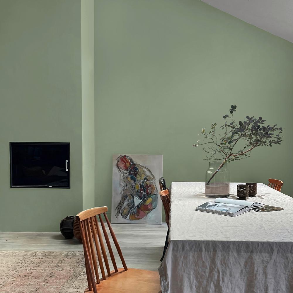 Graham & Brown Sage Paint