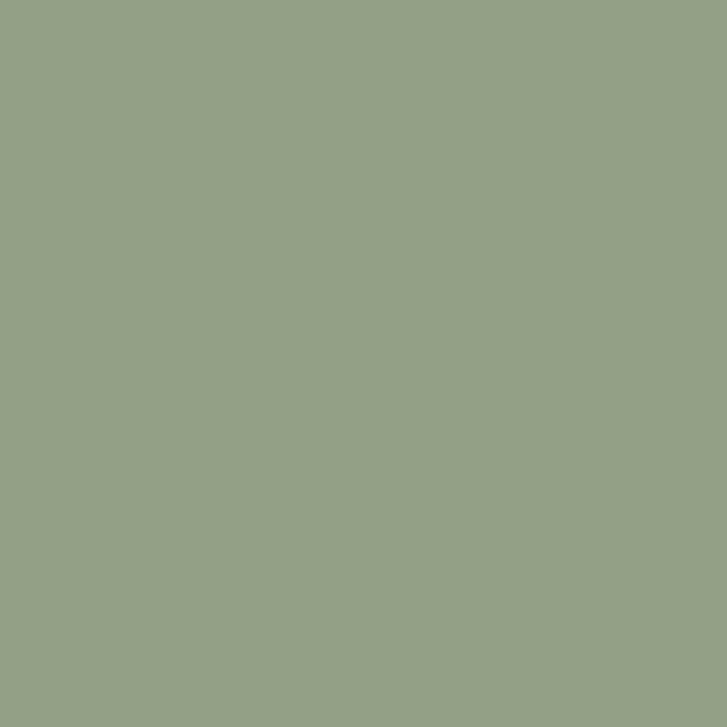 graham & brown Sage Paint
