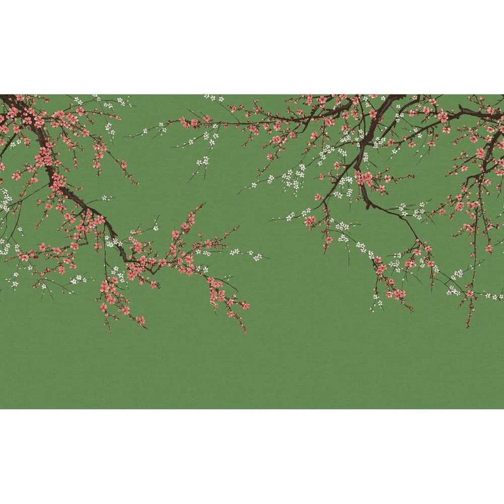 Graham & Brown Sakura Ecuador Bespoke Mural