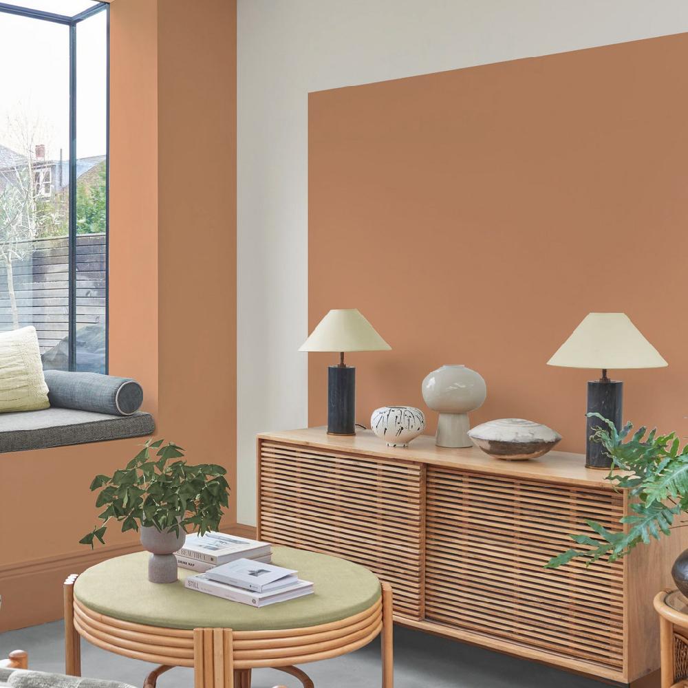 Graham & Brown Sakura Paint