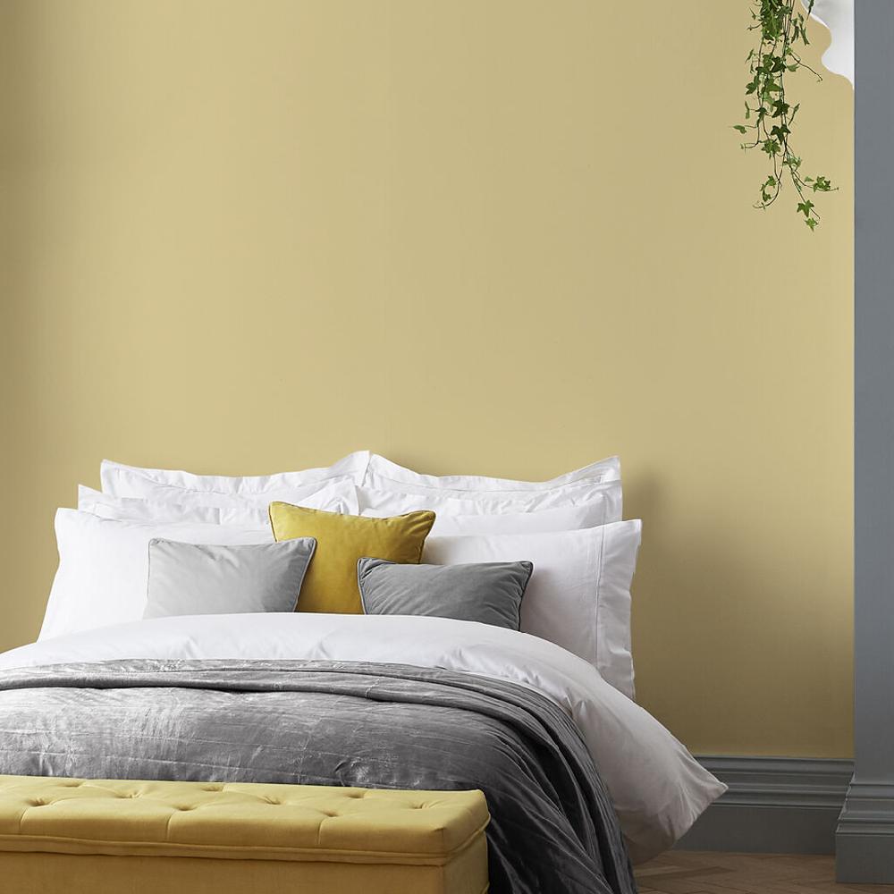 Graham & Brown Santa Monica Paint