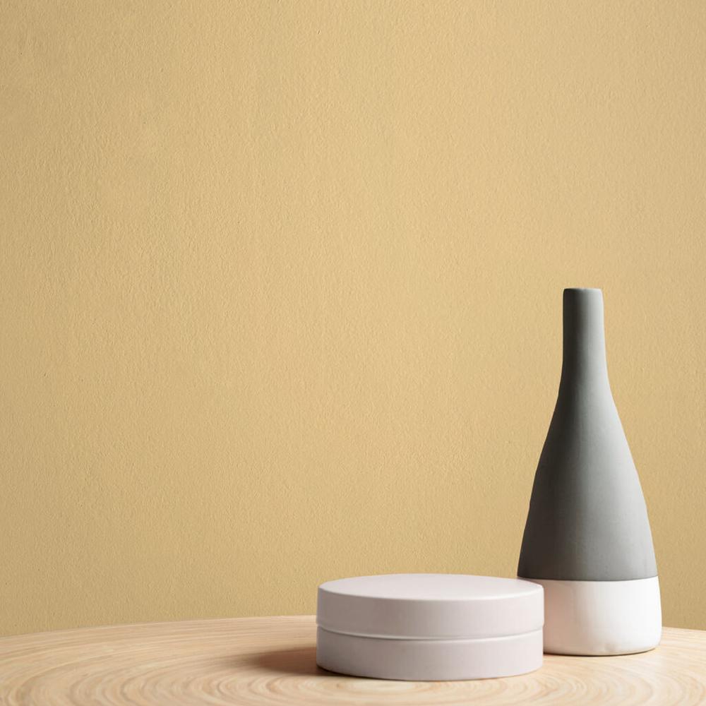 Graham & Brown Santa Monica Paint