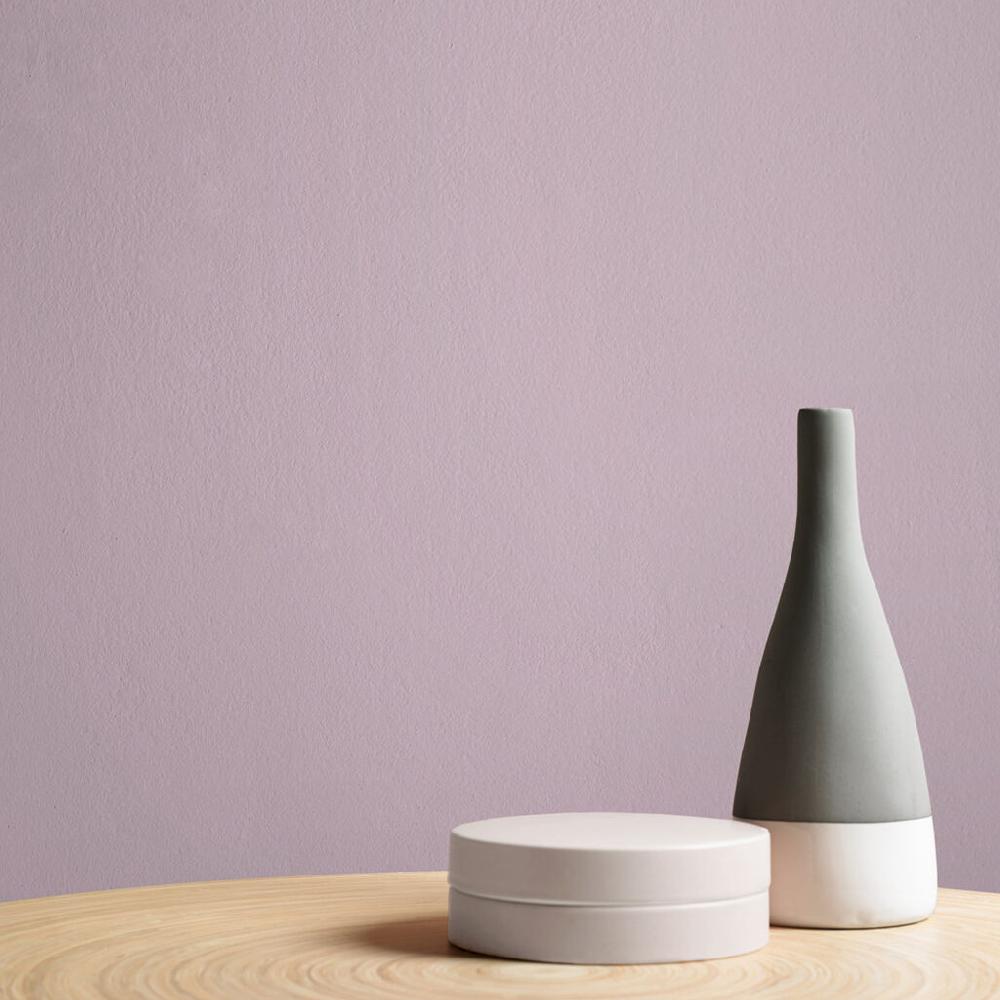 Graham & Brown Second Skin Paint